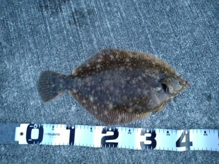 終了間際の奇跡